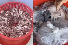 Cá rô phi ôi thiu trong bếp ăn Trường Tiểu học Chu Minh khiến phụ huynh phẫn nộ