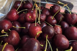 Vì sao cherry Chile 'được lòng' người tiêu dùng Việt Nam thời gian qua?