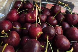 Vì sao cherry Chile 'được lòng' người tiêu dùng Việt Nam thời gian qua?