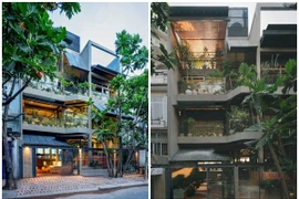 Ngôi nhà khép kín "lột xác" thành không gian ngập nắng gió