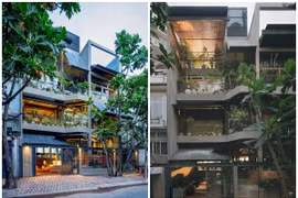 Ngôi nhà khép kín "lột xác" thành không gian ngập nắng gió