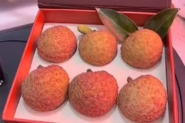 Sự thật bất ngờ đằng sau quả vải 181 triệu đồng gây xôn xao 