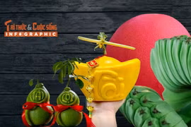 [INFOGRAPHIC] 4 loại quả độc lạ hút khách dịp Tết