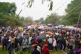 5 phiên chợ chỉ họp 1 lần ngày đầu năm ở Việt Nam 