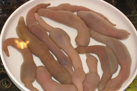 Loại cá nghe tên ngượng đỏ mặt giá "chát" được săn lùng