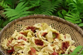 Đặc sản xưa rụng thối gốc nay dân phố thi nhau "lùng mua"