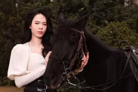 Hoa khôi bóng chuyền Lê Thanh Thúy với bộ ảnh đón xuân Bính Ngọ