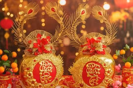 Dừa dát vàng tiền triệu hút khách dịp Tết Bính Ngọ 2026