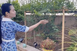 Biệt thự triệu đô của nữ NSƯT giàu nhất nhì làng sân khấu cải lương