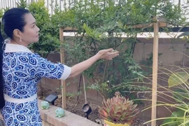 Biệt thự triệu đô của nữ NSƯT giàu nhất nhì làng sân khấu cải lương