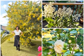 Biệt thự sân vườn đẹp như resort của nghệ sĩ Hồng Đào 