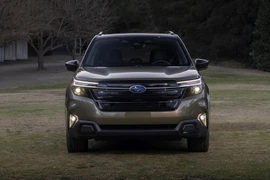 Subaru sắp bán Forester 2025 tại Indonesia, có về Việt Nam?