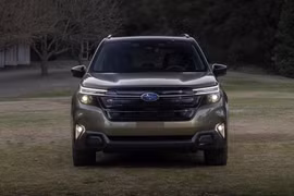 Subaru sắp bán Forester 2025 tại Indonesia, có về Việt Nam?