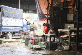 Không đảm bảo vệ sinh, những điểm giết mổ gia cầm ở Hà Nội vẫn ngang nhiên hoạt động