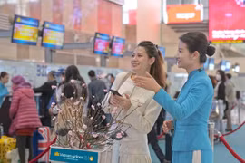 Mang mai, đào Tết lên máy bay, khách phải trả bao nhiêu tiền?