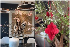 Cận cảnh căn hộ ngập sắc hoa đón Tết Bính Ngọ 2026 của Hoa hậu Đỗ Hà