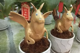 Dừa bonsai hình ngựa hút khách trước Tết Bính Ngọ 2026