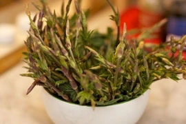Loại rau từng là phế phẩm, nay 40 triệu đồng/kg vẫn khó mua