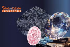 [INFOGRAPHIC] 5 viên kim cương đắt nhất mọi thời đại