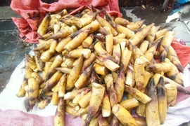 Măng vầu Tây Bắc đầu mùa giá cao vẫn 'cháy hàng'