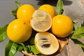 Loại quả từng 'đắt như vàng' nay bán rẻ hơn cho