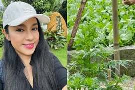 Mê mẩn nhà vườn 3.000m2 ngập tràn rau xanh của Việt Trinh