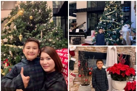 Biệt thự 1.500m2 rực rỡ đón Giáng sinh của vợ cũ Đan Trường 