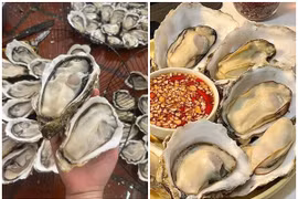 Hàu vàng Trung Quốc giá rẻ đổ bộ chợ Việt