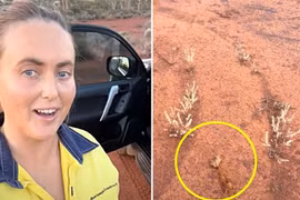 Tìm thấy cục vàng 3 tỷ, cô gái mừng hơn trúng số 