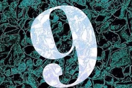 "Năm số 9" là gì mà dân mạng liên tục nhắc tới?