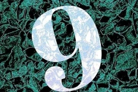 "Năm số 9" là gì mà dân mạng liên tục nhắc tới?