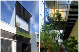 Ngôi nhà 'chữa lành' tại Đà Nẵng gây ấn tượng trên báo Mỹ