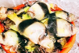 Loại cá trước không ai biết nay 'đắt hàng như tôm tươi'