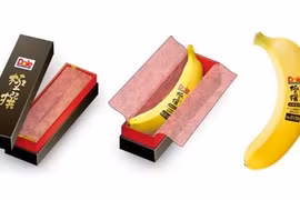 Bí ẩn loại chuối 150.000 đồng/quả nhà giàu thi nhau mua 