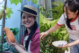 Cận cảnh penthouse 650m2 ngập cây xanh của diva Hồng Nhung 