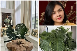 Biệt thự 1.000m2 lá xanh tràn mọi góc của Vân Trang