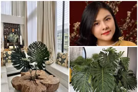 Biệt thự 1.000m2 lá xanh tràn mọi góc của Vân Trang