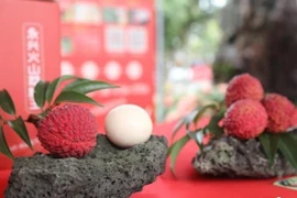 "Sửng sốt" trái vải to bằng quả trứng gà giá 250 triệu đồng 