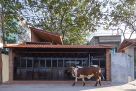 Báo Mỹ hết lời ca tụng nhà gạch mộc trầm mặc giữa Hà Nội 