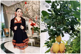 Bên trong biệt thự 1.000m2 đón Tết của Hoa hậu Giáng My