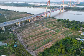 Trục đại lộ cảnh quan sông Hồng, trăn trở bài toán làng nghề