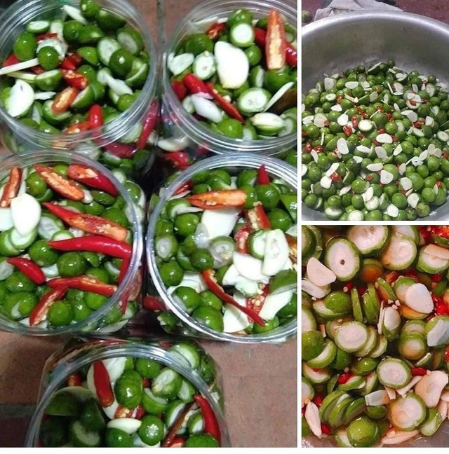 Sấu non đắt hơn trái cây nhập khẩu, tiểu thương “hốt bạc“ - Hình 3 Sau non dat hon trai cay nhap khau, tieu thuong “hot bac“-Hinh-3