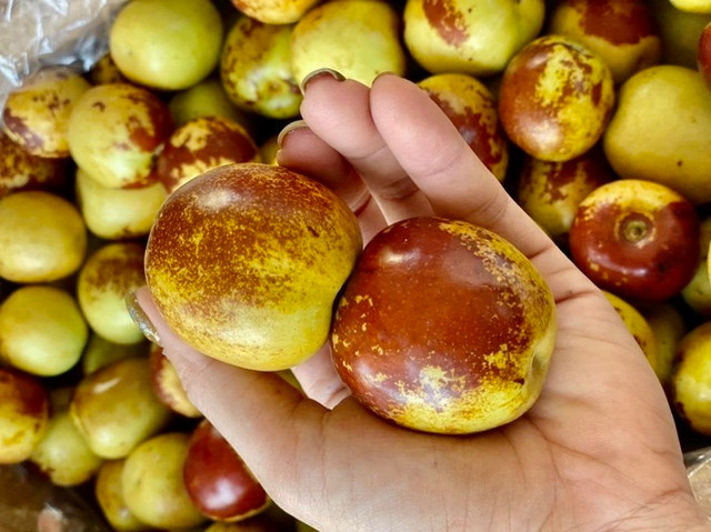 Táo tàu tươi giá 200.000 đồng/kg hút khách Tao tau tuoi gia 200.000 dong/kg hut khach
