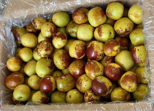 Táo tàu tươi giá 200.000 đồng/kg hút khách - Hình 2 Tao tau tuoi gia 200.000 dong/kg hut khach-Hinh-2