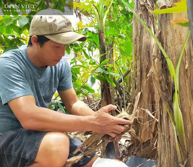 Trai làng biến bẹ chuối, quần bò cũ thành tranh độc đáo - Hình 4 Trai lang bien be chuoi, quan bo cu thanh tranh doc dao-Hinh-4