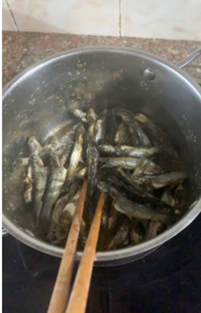Mùa nước lụt bắt cá ngạnh ở miền Trung quê tôi - Hình 3 Mua nuoc lut bat ca nganh o mien Trung que toi-Hinh-3