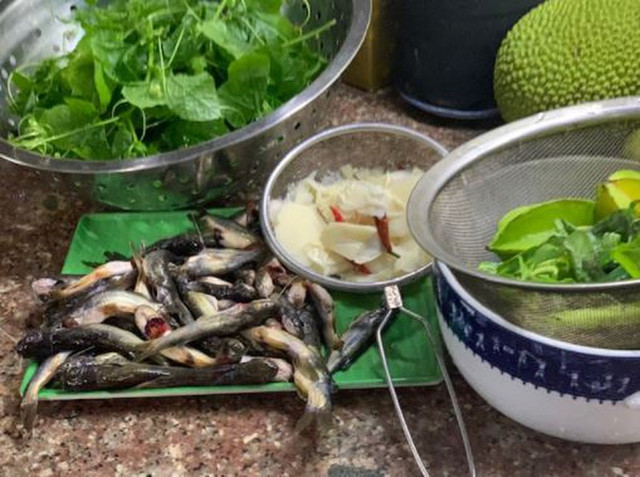 Mùa nước lụt bắt cá ngạnh ở miền Trung quê tôi - Hình 4 Mua nuoc lut bat ca nganh o mien Trung que toi-Hinh-4