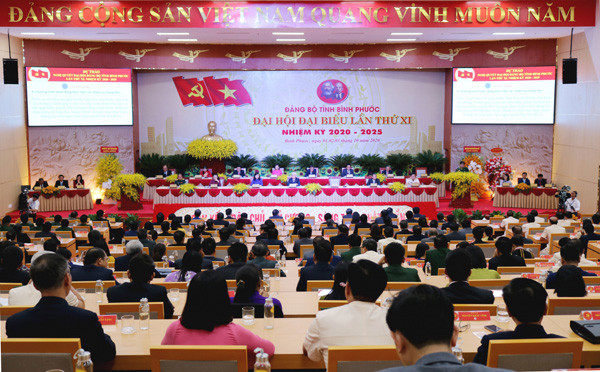 Điểm nhấn từ 15 Đại hội Đảng bộ tỉnh/thành phố - Hình 3 Diem nhan tu 15 Dai hoi Dang bo tinh/thanh pho-Hinh-3