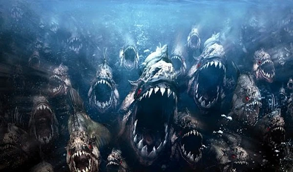 Sốc trước loài "thủy quái ma cà rồng" ở con sông dài nhất thế giới