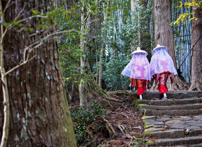 Kỳ lạ văn hóa "tắm rừng" ở Nhật Bản